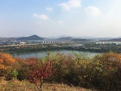 -羊山湖公园