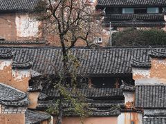 -杨家堂村