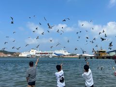 -海驴岛(荣成市)