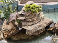 -良友·海鲜青岛菜·海肠捞饭(五四广场店)