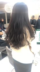 -潘多拉Hairsalon