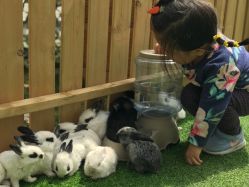 -萌宠亲子动物乐园(槐房万达店)