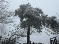 -武当山风景区
