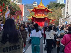 -越秀西湖花市(广州城市广场花卉店)