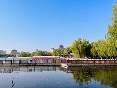-莲花池公园