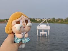 -杭州湾海上花田景区