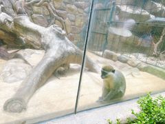 -泉州海丝野生动物世界