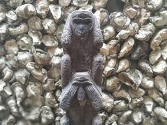 蚝墙-横琴公社餐厅