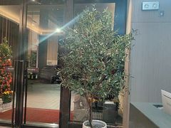 -珠海棕泉酒店(拱北口岸高铁站店)