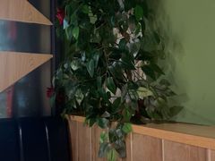 -老福耶小草帽石锅鱼(奥体店)