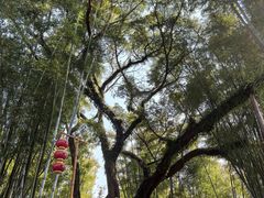 -苏家围·东江画廊旅游景区