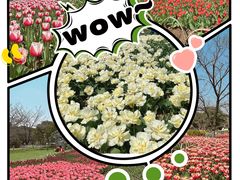 -玄武湖景区-情侣园游乐场