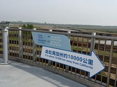 -盐城丹顶鹤湿地生态旅游区