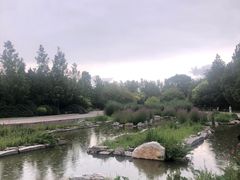-大望京公园