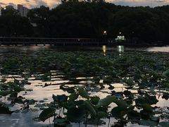 -月湖风景区