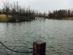 -上海长兴岛郊野公园