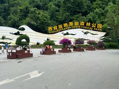-西双版纳原始森林公园