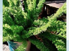 -在路上酒吧(大理古城店)