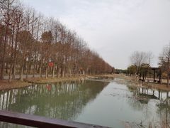 -柳鹭田园区