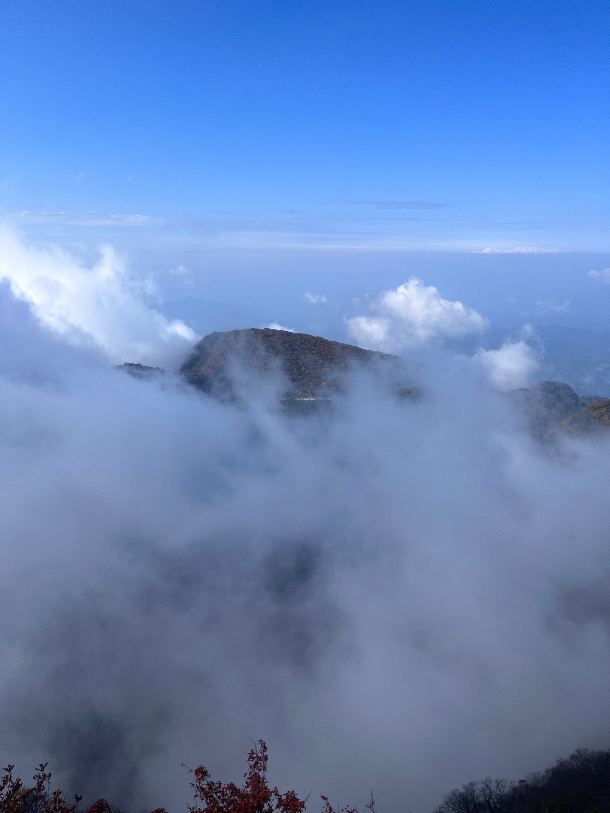 山顶的风景真美啊图片