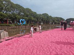 -苏州太湖西山岛开心农场