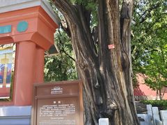 -北京市劳动人民文化宫(太庙)