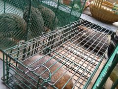 -百丈园(陈村店)