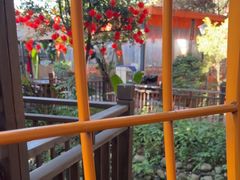 -二荆条·蜀鲜汇城市森林火锅