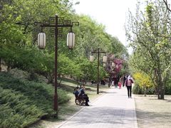 -元大都城垣遗址公园