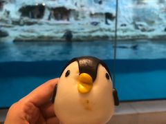 -帝企鹅自助餐厅•儿童岛•真企鹅(长隆企鹅酒店)