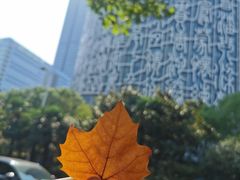 -安徽广播电视台