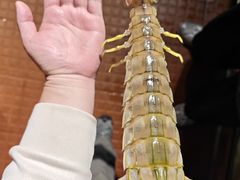 -辉记炭烧海鲜大排档·老字号(福田店)