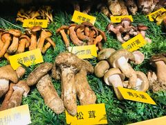 -菌海森林·非遗野生菌火锅(西山区滇池路摩根道店)