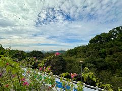 -深圳仙湖植物园
