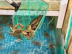 -品鲜村农家菜·阳澄湖大闸蟹(总店)