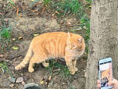 -七的湖·江南蟹舫·阳澄湖农家菜(蟹舫苑店)