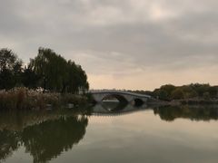 -北京麋鹿生态实验中心