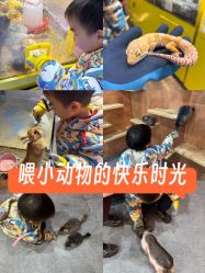 -神奇动物撸宠馆·羊驼·小浣熊·异宠(豫园店)