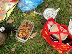 -南国桃园旅游度假区