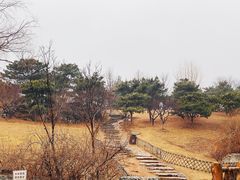 -北京西山国家森林公园