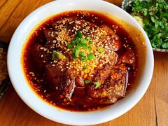-付小姐在成都(中山公园店)
