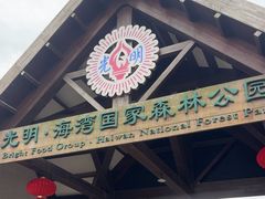 -上海海湾国家森林公园