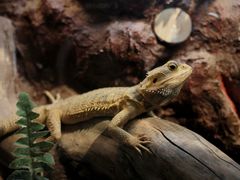 -长沙友阿奥特莱斯