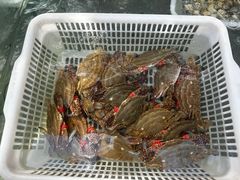 -有喜胶东小馆(太申祥和店)