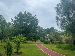 -中国科学院西双版纳热带植物园