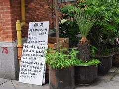 租房很红火-静安别墅
