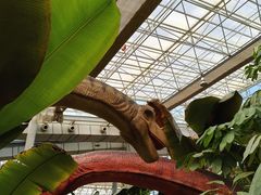 -沈阳植物园