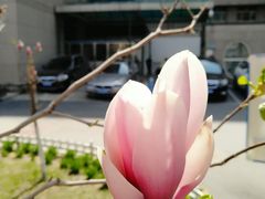 -中国医科大学附属盛京医院(南湖院区)