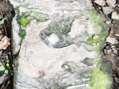 -紫金山天文台