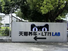 -天猫养车贴膜轻改·蓝电(优匹康桥东路店)